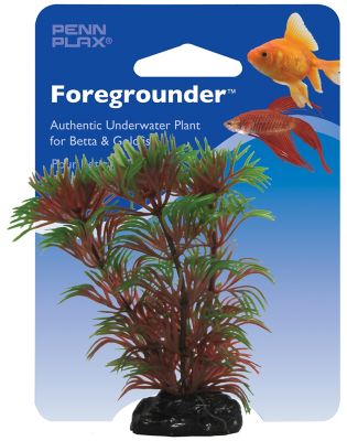 Image showing  4 in. Cabomba Plant, Green and Red