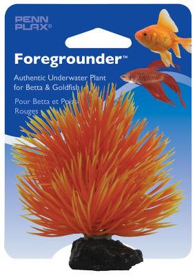 Image showing  Fan Bush/Orange Betta Fish Aquarium Plant