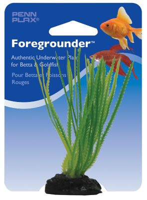 Image showing  Hair Grass Betta Plant, Green