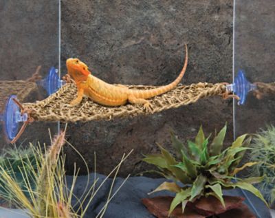 Image showing  Reptology Lizard Lounger Corner Triangle, Small