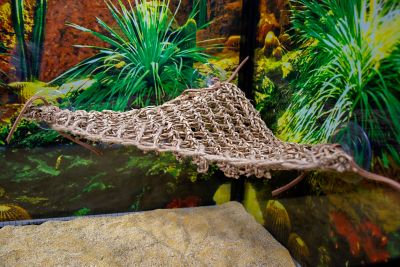 Image showing  Reptology Lizard Lounger Corner Triangle, Small