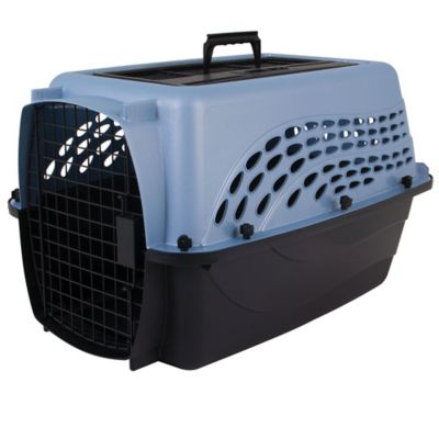 Petmate 2-Door Small Pet Kennel Cab, 24 in., Blue