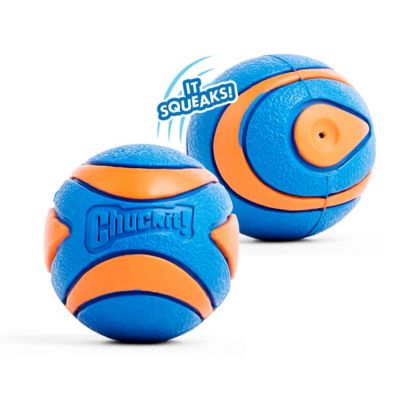 Image showing  Chuckit! Ultra Squeaker Dog Toy, Small, 2-Pack