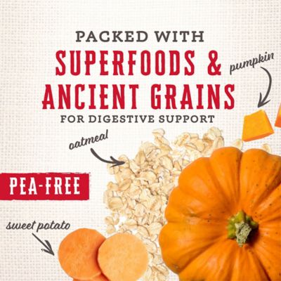 Image showing  Rewards Large Originals Biscuit Dog Treats