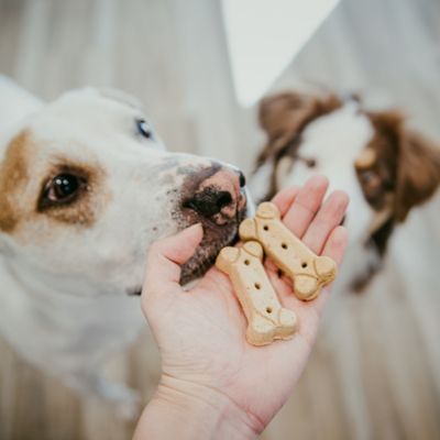 Image showing  Rewards Medium Originals Biscuit Dog Treats