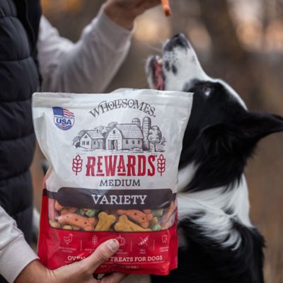 Image showing  Rewards Medium Variety Biscuit Dog Treats