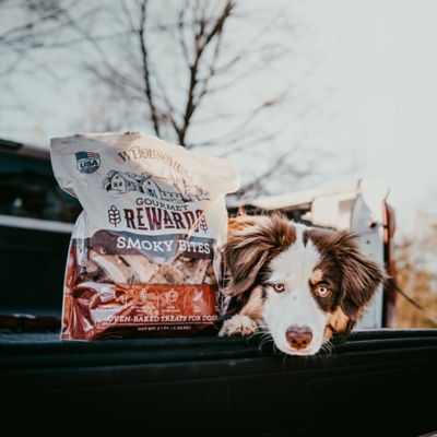 Image showing  Gourmet Rewards Smoky Bites Biscuit Dog Treats