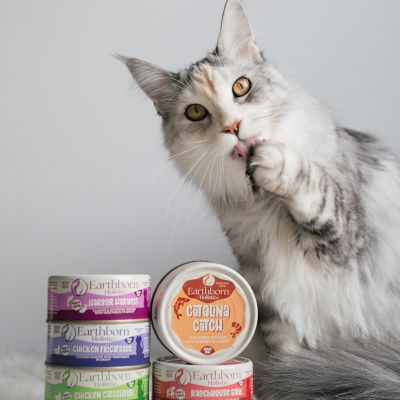 Image showing 8 th Earthborn Holistic Catalina Catch Mackerel Dinner with Shrimp in Gravy, 5.5 oz.