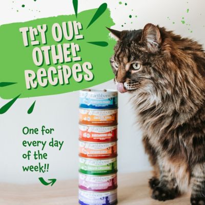 Image showing 7 th Earthborn Holistic Chicken Catcciatori Chicken Dinner in Gravy Wet Cat Food, 5.5 oz.