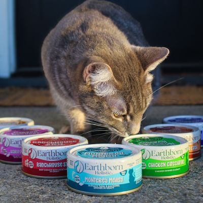 Image showing 8 th Earthborn Holistic Chicken Catcciatori Chicken Dinner in Gravy Wet Cat Food, 5.5 oz.