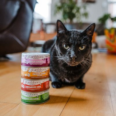 Image showing 8 th Earthborn Holistic Harbor Harvest Salmon and Whitefish Dinner with Vegetables in Gravy, 5.5 oz.