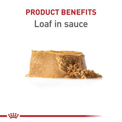 Image showing  Puppy Wet Dog Food, 13.56 oz. Can, 181-080-15