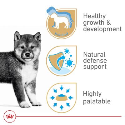 Image showing 6 th Royal Canin Puppy Wet Dog Food, 13.56 oz. Can, 181-080-15