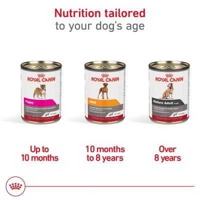 Image showing 8 th Royal Canin Puppy Wet Dog Food, 13.56 oz. Can, 181-080-15