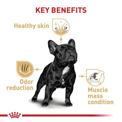 Image showing  Breed Health Nutrition Adult French Bulldog Dry Dog Food