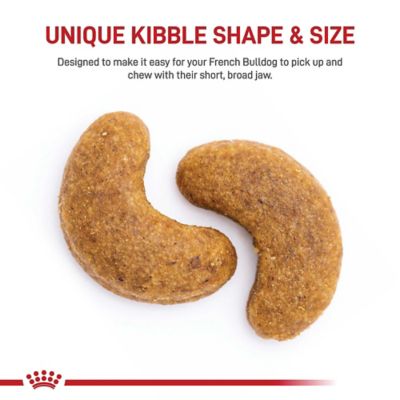 Image showing  Breed Health Nutrition Adult French Bulldog Dry Dog Food