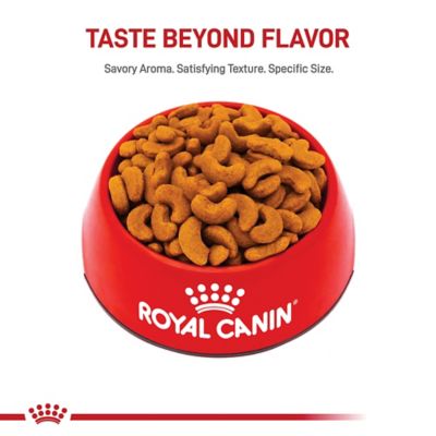 Image showing  Breed Health Nutrition Adult French Bulldog Dry Dog Food