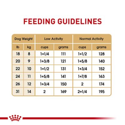 Image showing 5 th Royal Canin Breed Health Nutrition Adult French Bulldog Dry Dog Food