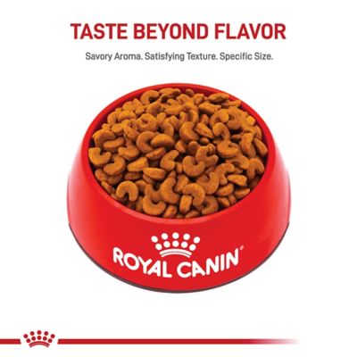 Image showing  Breed Health Nutrition French Bulldog Puppy Dry Dog Food