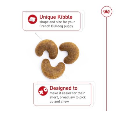 Image showing  Breed Health Nutrition French Bulldog Puppy Dry Dog Food