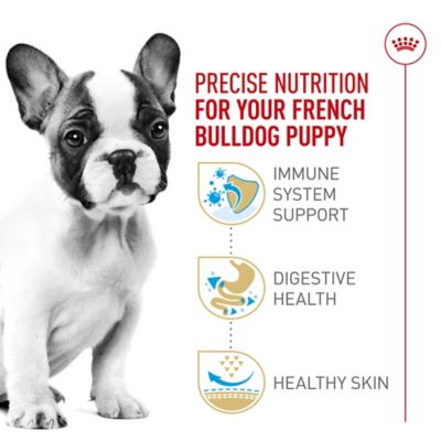 Image showing  Breed Health Nutrition French Bulldog Puppy Dry Dog Food