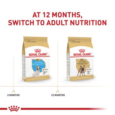 Image showing 7 th Royal Canin Breed Health Nutrition French Bulldog Puppy Dry Dog Food