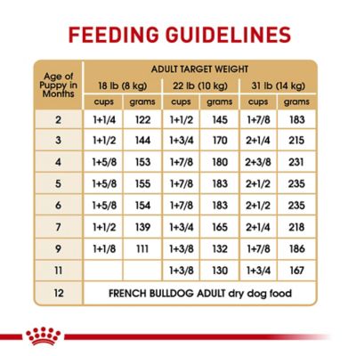 Image showing 8 th Royal Canin Breed Health Nutrition French Bulldog Puppy Dry Dog Food
