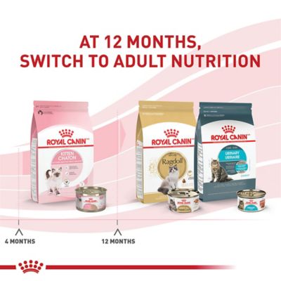 Image showing  Kitten Instinctive Loaf in Sauce Canned Cat Food, 3 oz.