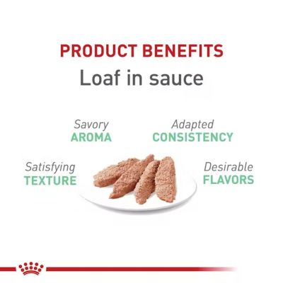 Image showing  Digestive Care Loaf In Sauce Wet Cat Food, 3 oz.