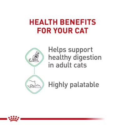 Image showing  Digestive Care Loaf In Sauce Wet Cat Food, 3 oz.