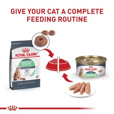 Image showing 6 th Royal Canin Digestive Care Loaf In Sauce Wet Cat Food, 3 oz.