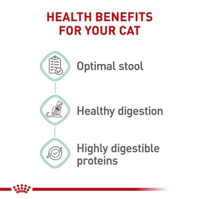 Image showing  Feline Care Nutrition Digestive Care Adult Dry Cat Food