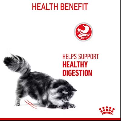 Image showing  Digestive Care Adult Chicken Recipe Dry Cat Food, 6 lb. Bag