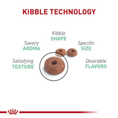 Image showing  Feline Care Nutrition Digestive Care Adult Dry Cat Food