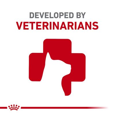 Image showing 8 th Royal Canin Feline Care Nutrition Digestive Care Adult Dry Cat Food