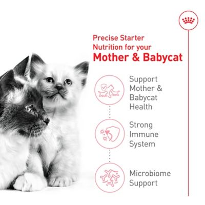 Image showing  Mother and Babycat Dry Cat Food