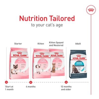 Image showing  Mother and Babycat Dry Cat Food