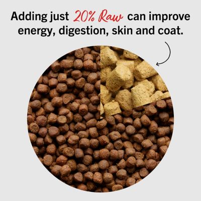 Image showing 5 th Stella & Chewy's Meal Mixers Dandy Lamb Freeze-Dried Raw Dog Food Topper