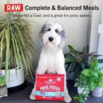 Image showing 7 th Stella & Chewy's Meal Mixers Dandy Lamb Freeze-Dried Raw Dog Food Topper