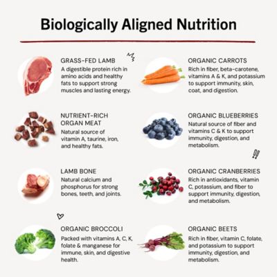 Image showing 8 th Stella & Chewy's Meal Mixers Dandy Lamb Freeze-Dried Raw Dog Food Topper