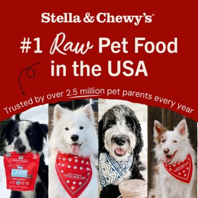 Image showing 5 th Stella & Chewy's Meal Mixers Tantalizing Turkey Freeze-Dried Raw Dog Food Topper