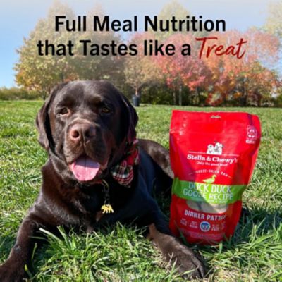 Image showing  All Life Stages Duck Duck Goose Dinner Patties Freeze-Dried Raw Dog Food, 25 oz. Bag