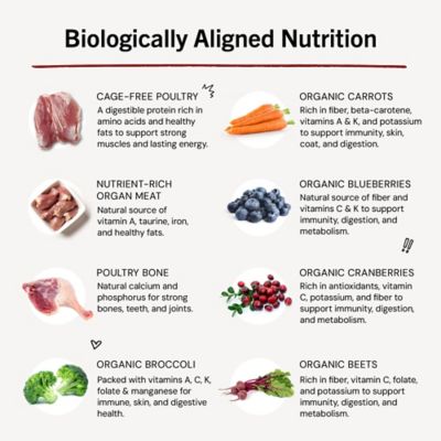 Image showing  Duck Duck Goose Dinner Patties Freeze-Dried Raw Dog Food