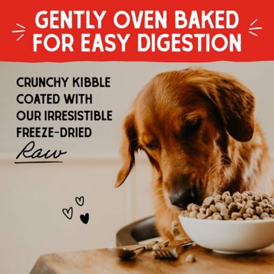 Image showing  Dog Kibble Raw Coated Whitefish Recipe