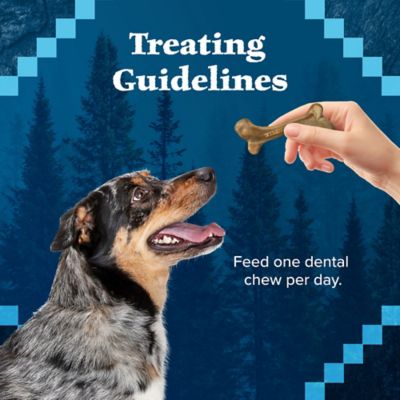 Image showing 7 th Blue Buffalo Wilderness Trail Treats Wild Bones, Dental Chews for Large Dogs, 10 oz.