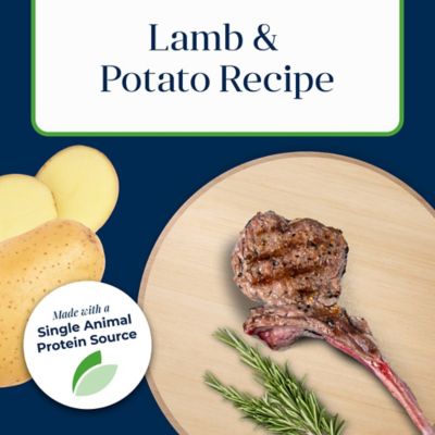 Image showing  Basics Grain-Free Wet Dog Food Lamb, 12.5 oz.