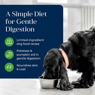 Image showing  Basics Grain-Free Wet Dog Food Lamb, 12.5 oz.