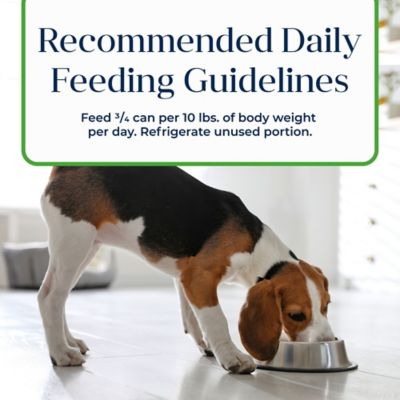 Image showing 8 th Blue Buffalo Basics Basics Grain-Free Wet Dog Food Lamb, 12.5 oz.