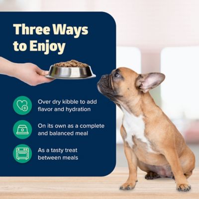 Image showing 6 th Blue Buffalo Freedom Wet Dog Food Freedom Lamb, 12.5 oz.