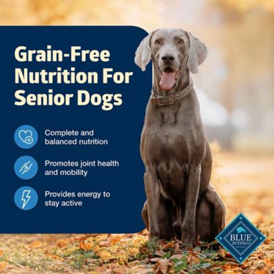 Image showing  Grain-Free Senior Chicken Recipe Wet Dog Food, 12.5 oz.